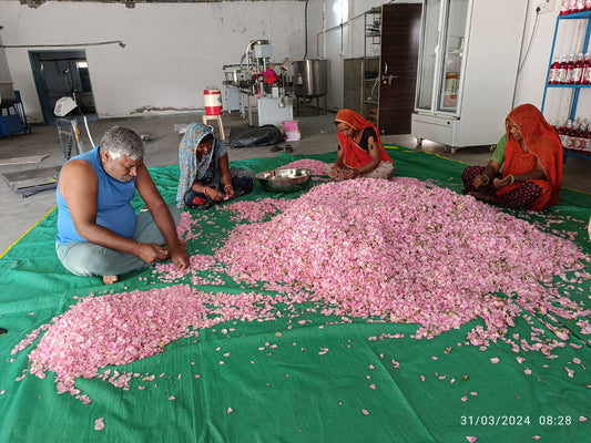 Discover the Essence of Rajasthan: Organic Rose Delights from Khamnor